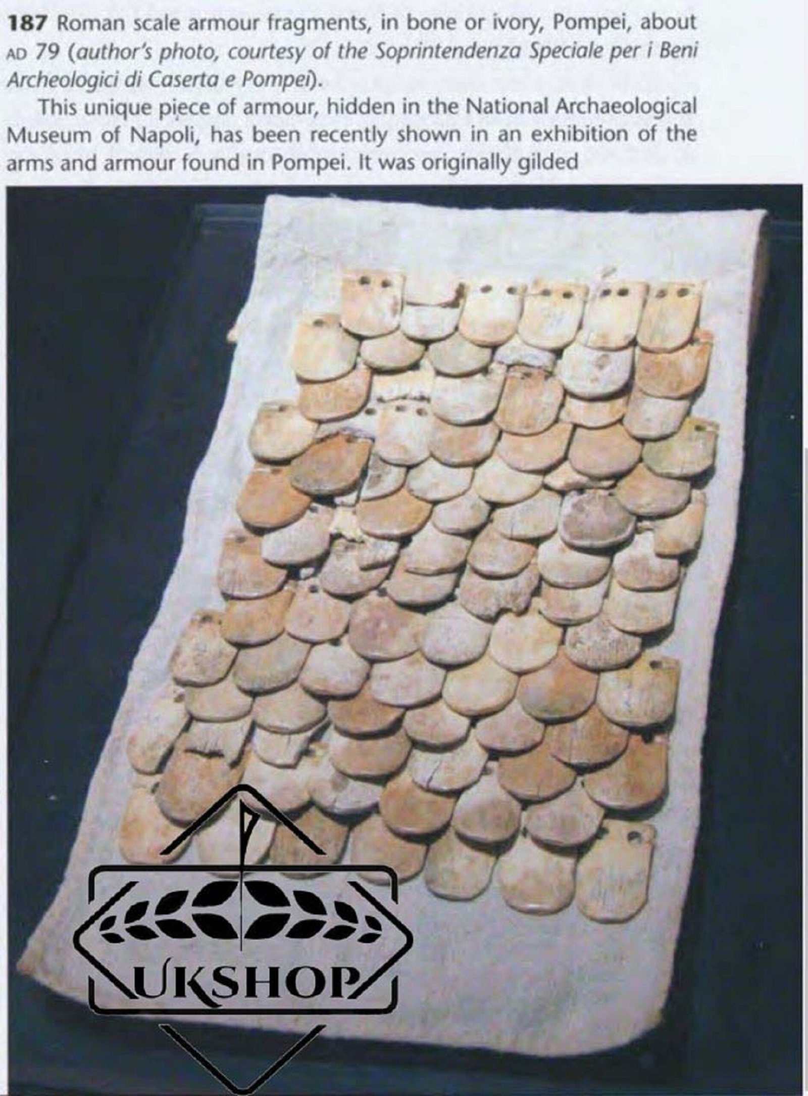 il_fullxfull.2397858746_ef3r.jpg
