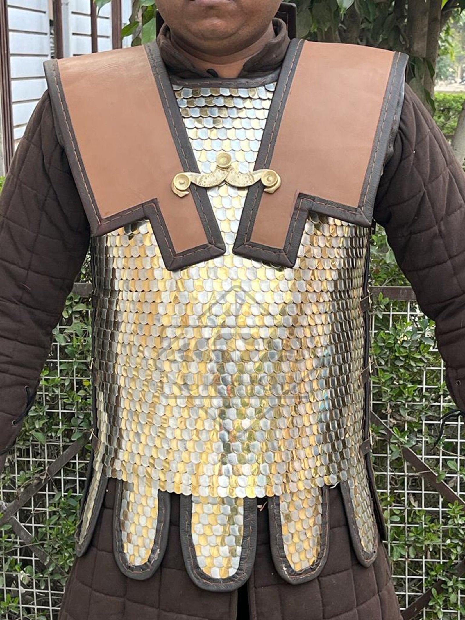 lorica squamata 467