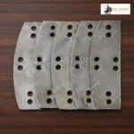 lamellar scale 1